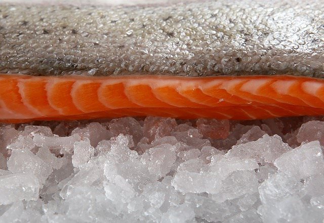 congelar pescado descongelado