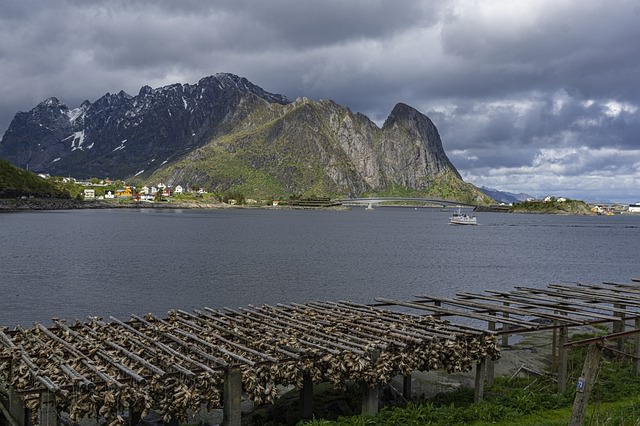 Bacalao pescado en noruega